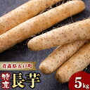 3位! 口コミ数「1件」評価「5」【青森県五戸町特産】長芋　5kg【配送不可地域：離島・沖縄県】【1017942】