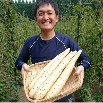 【ふるさと納税】【青森県五戸町特産】長芋　10kg【配送不可地域：離島・沖縄県】【1017943】