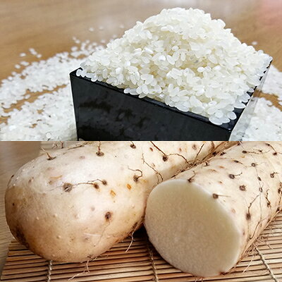 [五戸町特産セット]令和7年産 精米まっしぐら10kgと長芋3kgのセット[配送不可地域:離島・沖縄県]