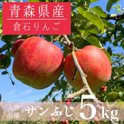 [青森県産]サンふじ 約5kg[配送不可地域:離島・沖縄県]