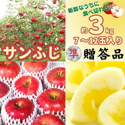 【ふるさと納税】【準贈答品】味よし見た目よし「サンふじ」約3