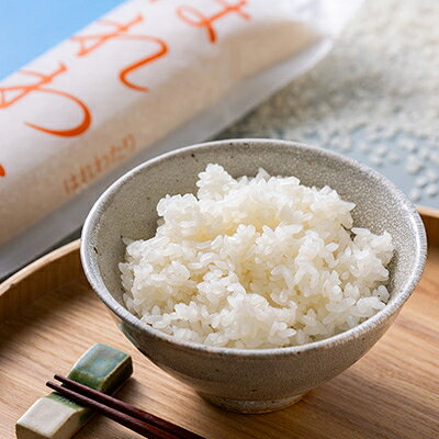 【ふるさと納税】【令和7年産】はれわたり　精米5kg【1455828】 f024422-gonohe-10000354 青森県五戸町 サンプル画像3