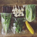 【ふるさと納税】【五戸町】季節の野菜セットおまかせ詰め合わせ(6~8種類程度)【配送不可地域:離島・沖縄県・九州】【1594858】
