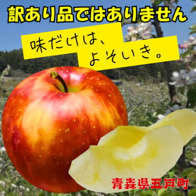 【訳あり品ではありません】葉とらずサンふじ 約3kg(7～12玉) 青森県産【配送不可地域：離島・沖縄県】【1762093】