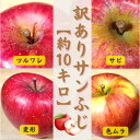 【ふるさと納税】【青森ごのへ産】 家庭用 りんご サンふじ 約10kg(訳アリ)【配送不可地域:離島・沖縄県・中国・四国・九州】【1122681】