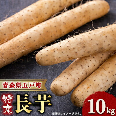 【ふるさと納税】【青森県五戸町特産】長芋 10kg【配送不可地域:離島・沖縄県】【1017943】