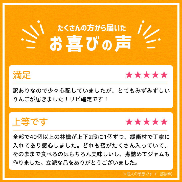 【ふるさと納税】【青森ごのへ産】 家庭用 サンふじ 約10kg(訳アリ)【1122681】