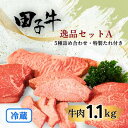 【ふるさと納税】幻の田子牛 逸品セットA/牛肉1.1kg (特製タレ付) お肉 牛肉 牧場 放牧 肥育 厳選 最上級 幻 信頼 極上 ビーフ 美味しい きめ細かい サシ 上質 脂 上品 肉汁 たれ 調味料