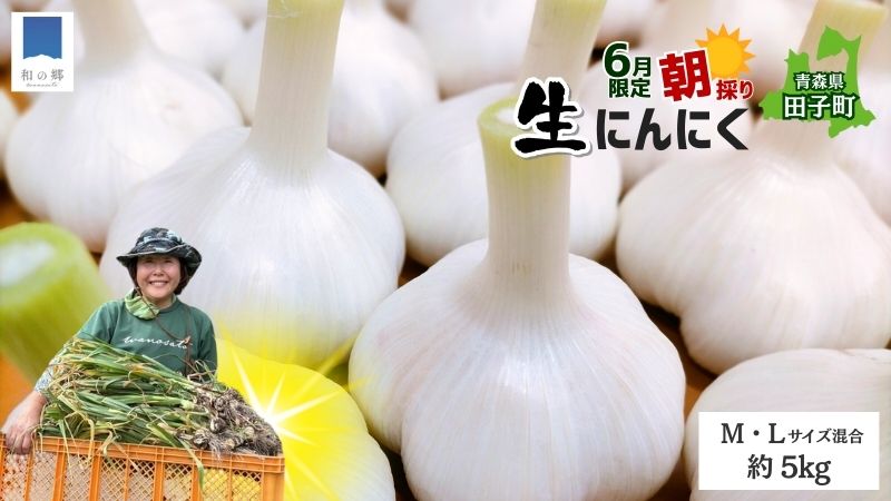 青森県田子町の画像2