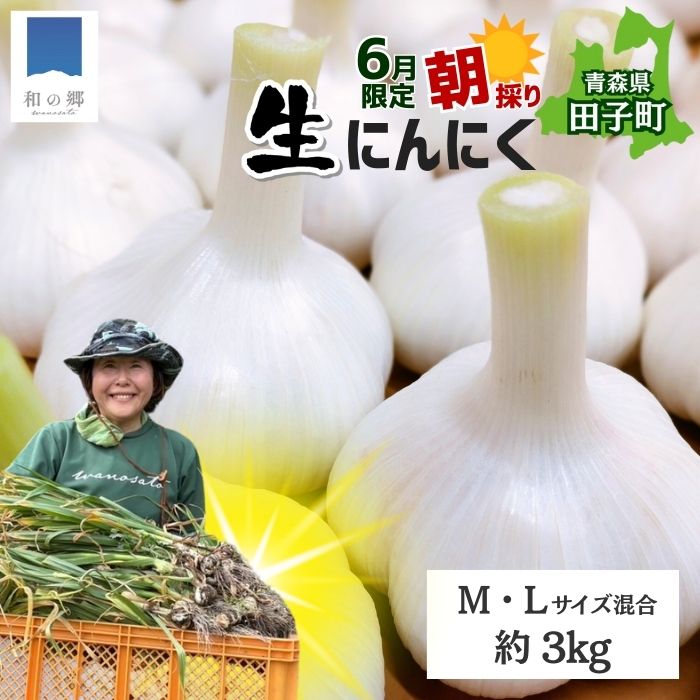 【ふるさと納税】令和7年産朝採り直送!田子(たっこ)生にんにく約3kg(青森県田子町産にんにくM~Lサイズ混合) 薬味 ハーブ トップブランド 貴重 掘りたて 幻の味 新鮮 甘さ 濃い味 季節限定 お届け:6月20日〜6月30日まで