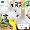 【ふるさと納税】令和7年産朝採り直送!田子(たっこ)生にんにく約10kg(青森県田子町産にんにくM〜Lサイズ混合) 薬味 ハーブ トップブランド 貴重 掘りた...
