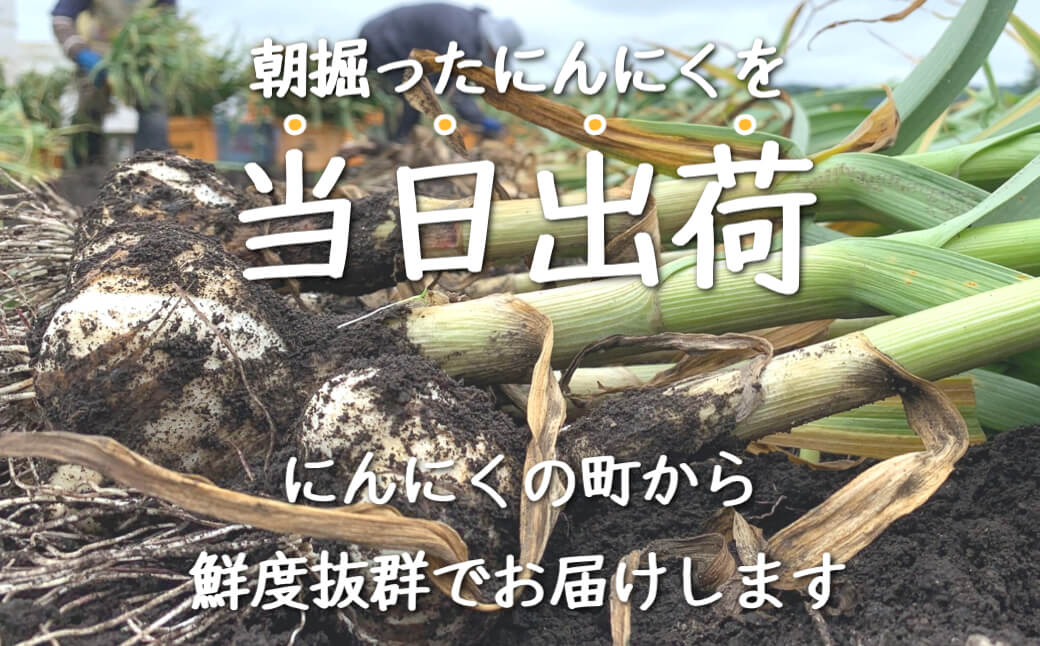 �ڤդ뤵��Ǽ�ǡ�����8ǯ��ī�Τ�ľ�����Ļҡʤ��ä������ˤ�ˤ���10kg���Ŀ����Ļ�Į���ˤ�ˤ�M��L����������ˡ� ��̣ �ϡ��� �ȥåץ֥��� ���� ���ꤿ�� ����̣ ���� �Ť� ǻ��̣ ������� ���вٳ��ϡ�6��20����6��30��