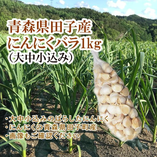 【ふるさと納税】田子産にんにく約1kg(MサイズA〜B品) 薬味・野菜・根菜・加工食品・乾物 お届け:10月15日〜4月30日まで 【ふるさと納税】田子産にんにく約1kg(MサイズA〜B品) 薬味・野菜・根菜・加工食品・乾物 お届け:10月15日〜4月30日まで