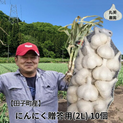 【ふるさと納税】丸美農園 田子産贈答用にんにく(2L)10個 薬味 にんにく 田子町産 贈答用 野菜 たっこにんにく お届け:10月1日〜3月31日まで 【ふるさと納税】丸美農園 田子産贈答用にんにく(2L)10個 薬味 にんにく 田子町産 贈答用 野菜 たっこにんにく お届け:10月1日〜3月31日まで