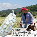 【ふるさと納税】丸美農園 田子産特別栽培にんにく 家庭用バラ(M〜2L)約900g+黒にんにく 1個 野菜 香味野菜 薬味 青森にんにく 食材 スタミナ ガー...