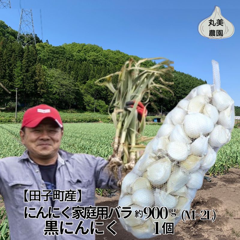【ふるさと納税】丸美農園 田子産にんにく家庭用バラ 約900g(M〜2L)+黒にんにく 1個 薬味・ニンニク・青森県産 お届け:8月1日〜3月31日まで