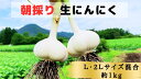 青森県田子町の画像2
