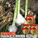 【ふるさと納税】にんにく味噌(ピリ辛)3個セット【田子町産にんにく使用】 薬味 調味料 万能味噌 辛味 ピリ辛 炒め物 煮物 ごはんのお供 味付け 田子産にんにく使用 和食 洋食 炒め物 煮物