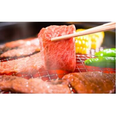 【ふるさと納税】田子牛焼肉セット3種（自家製タレ付)　【お肉・牛肉・焼肉・バーベキュー・たれ・調味料】のサムネイル