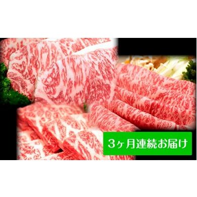 田子牛贅沢セット 3ヶ月連続お届け [定期便・ステーキ・お肉・牛肉・すき焼き]