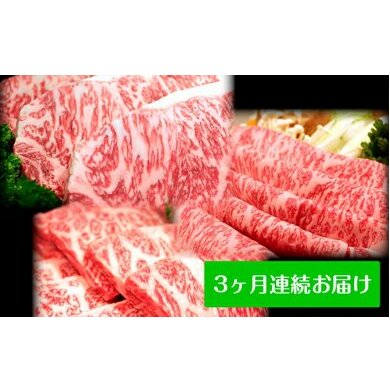 田子牛贅沢セット　3ヶ月連続お届け　【定期便・ステーキ・お肉・牛肉・すき焼き】