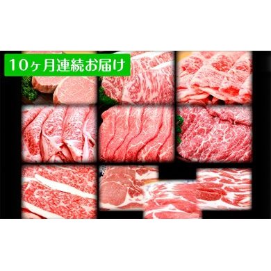 田子牛・豚まるごと食べ尽くし　10ヶ月連続お届け　【定期便・お肉・牛肉・お肉・牛肉・肉の加工品】
