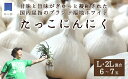 【ふるさと納税】日本一たっこにんにく・6～7玉（青森県田子町産にんにくL～2L）　【薬味】 2