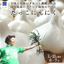 日本一たっこにんにく・6～7玉（青森県田子町産にんにくL～2L）　