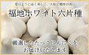 【ふるさと納税】日本一たっこにんにく・6～7玉（青森県田子町産にんにくL～2L）　【薬味】 3