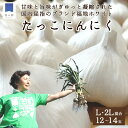 【ふるさと納税】日本一たっこにんにく 12～14玉（青森県田子町産にんにくL～2L） 【野菜 根菜 薬味 加工食品 乾物】