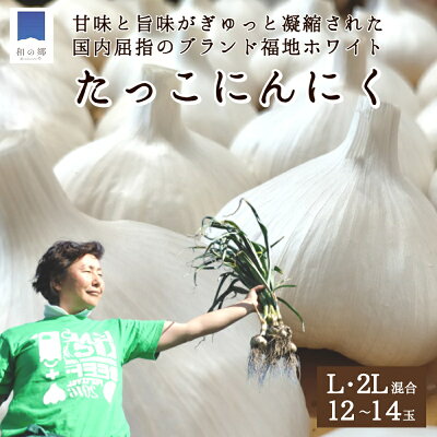 楽天ふるさと納税　【ふるさと納税】日本一たっこにんにく・12～14玉（青森県田子町産にんにくL～2L）　【野菜・根菜・薬味・加工食品・乾物】