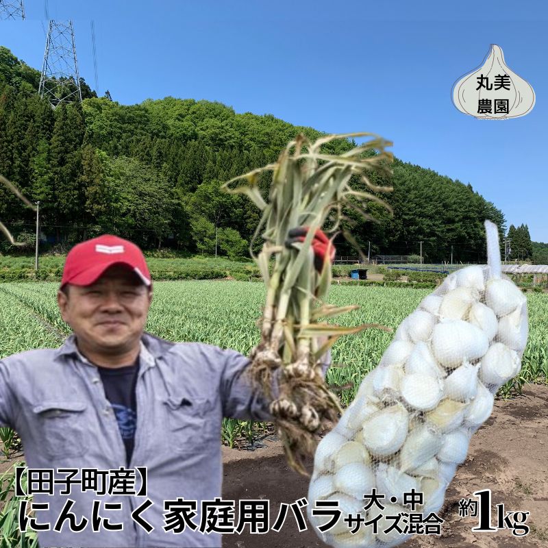 丸美農園 田子町産にんにく家庭用バラ約1kg（大・中サイズ混合）　【薬味・野菜・根菜・加工食品・乾物】　お届け：2024年10月上旬から2025年5月31日まで