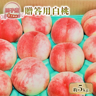 【ふるさと納税】8月 田子の贈答用白桃約5kg(12～16玉