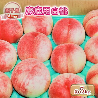 【ふるさと納税】8月 田子のご家庭用白桃約5kg(15～18