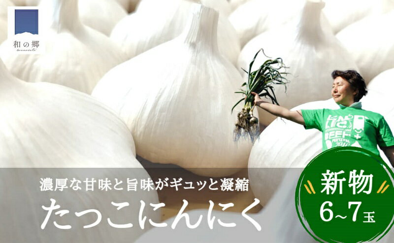 【ふるさと納税】【9月出荷】令和6年産　新物　日本一田子にんにく・6～7玉（ 青森県田子町産にんにくL～2L）　【薬味・野菜・根菜・にんにく】　お届け：2024年9月1日～2024年9月30日