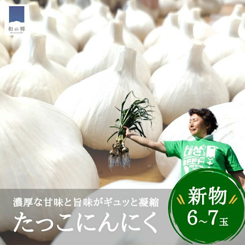 【ふるさと納税】【9月出荷】令和6年産　新物　日本一田子にんにく・6～7玉（ 青森県田子町産にんにくL～2L）　【薬味・野菜・根菜・にんにく】　お届け：2024年9月1日～2024年9月30日