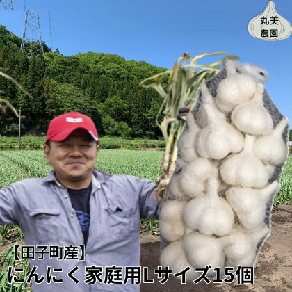 丸美農園 田子産にんにく家庭用Lサイズ 15個　【薬味・ニンニク・青森県産】　お届け：2024年10月上旬から2025年5月31日まで