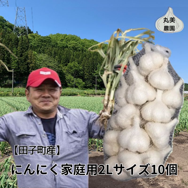 丸美農園 田子産にんにく家庭用2Lサイズ 10個　【薬味・ニンニク・青森県産】　お届け：2024年10月上旬から2025年5月31日まで