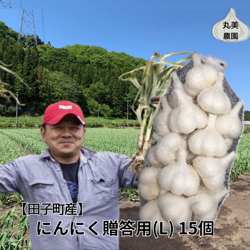 丸美農園 田子産贈答用にんにく（L）15個　【 薬味 にんにく 田子町産 贈答用 野菜 たっこにんにく 】　お届け：2024年10月上旬～2025年5月31日まで