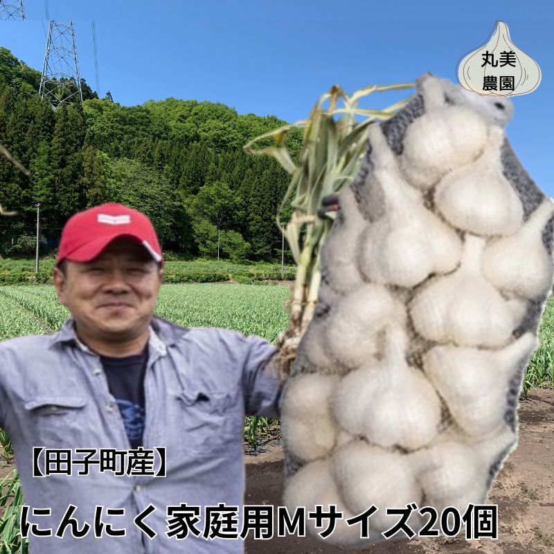 丸美農園 田子産家庭用にんにく（M）20個　【 薬味 にんにく 田子町産 家庭用 野菜 たっこにんにく 】　お届け：2024年10月上旬～2025年5月31日まで