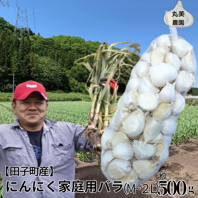 【ふるさと納税】丸美農園 田子町産にんにく家庭用バラ約500g・M～2L　【 薬味 野菜 香味野菜 香り ア...