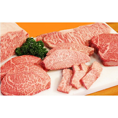 幻の田子牛 逸品セットA/牛肉1.1kg特製タレ付　【 お肉 牛肉 牧場 放牧 肥育 厳選 最上級 幻 信頼 極上 ビーフ 美味しい きめ細かい サシ 上質 脂 上品 肉汁 たれ 調味料 】