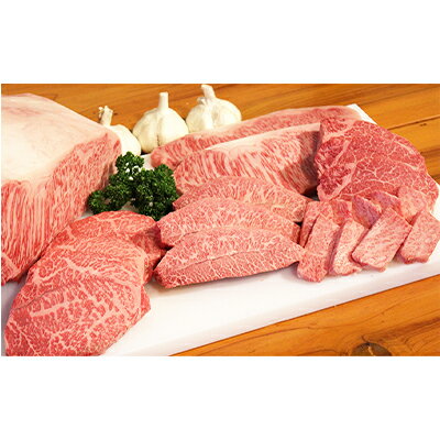 幻の田子牛 逸品セットB/牛肉計1.95kgにんにく1kg・特製タレ付 [ お肉 牛肉 牧場 放牧 肥育 厳選 最上級 幻 信頼 極上 ビーフ 美味しい きめ細かい サシ 上質 脂 上品 肉汁 たれ 調味料 ]