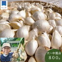 【ふるさと納税】訳あり 田子町産にんにく家庭用バラ約800g 【薬味】