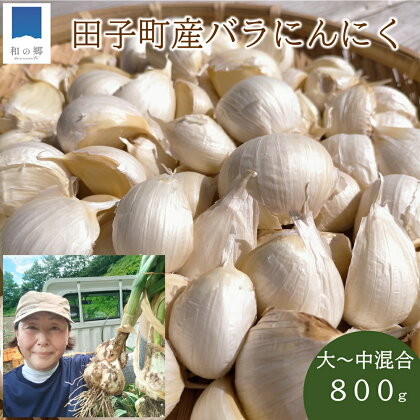 訳あり 田子町産にんにく家庭用バラ約800g　【薬味】