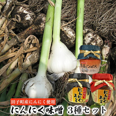 【ふるさと納税】にんにく味噌3種セット【田子町産にんにく使用】　【 薬味 調味料 万能味噌 炒め物 煮物 ごはんのお供 味付け 田子産にんにく使用 和食 洋食 炒め物 煮物 ピリ辛 甘口 こうじ 】