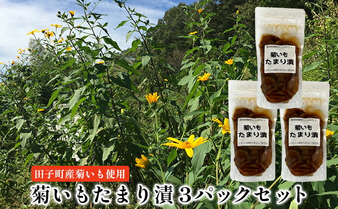 【ふるさと納税】菊いもたまり漬3パックセット【田子町産菊いも使用】　【 お漬物 食物繊維 シャキシャキ 食感 ご飯のお供 水溶性食物繊維 イヌリン 腸内環境 糖尿病予防 天然のインスリン お酒のあて 漬物 】