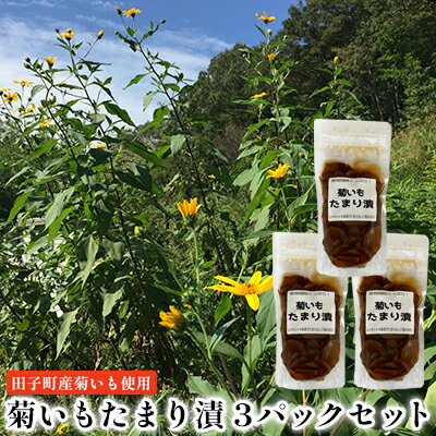 3位! 口コミ数「0件」評価「0」菊いもたまり漬3パックセット【田子町産菊いも使用】　【 お漬物 食物繊維 シャキシャキ 食感 ご飯のお供 水溶性食物繊維 イヌリン 腸内環境･･･ 