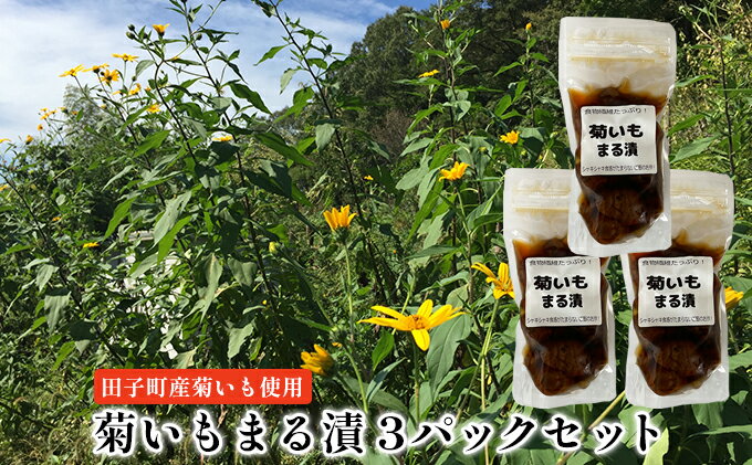 【ふるさと納税】菊いもまる漬3パックセット【田子町産菊いも使用】　【 お漬物 食物繊維 シャキシャキ 食感 ご飯のお供 水溶性食物繊維 イヌリン 腸内環境 糖尿病予防 天然のインスリン お酒のあて 漬物 】