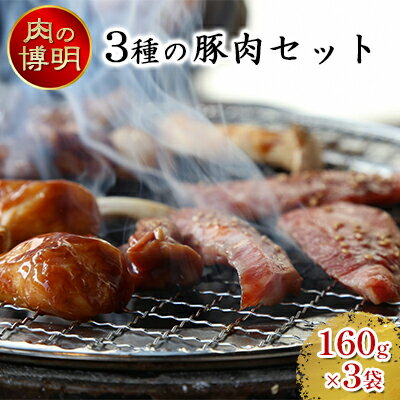 【ふるさと納税】【ヤキニクストック】3種の豚肉セット 160g×3袋【肉の博明】【焼肉セット】【国産】　【 お肉 豚肉 焼肉 バーベキュー 肉の加工品 塩 サガリ ネギ塩 カルビ ストック おかず 味付け肉 】